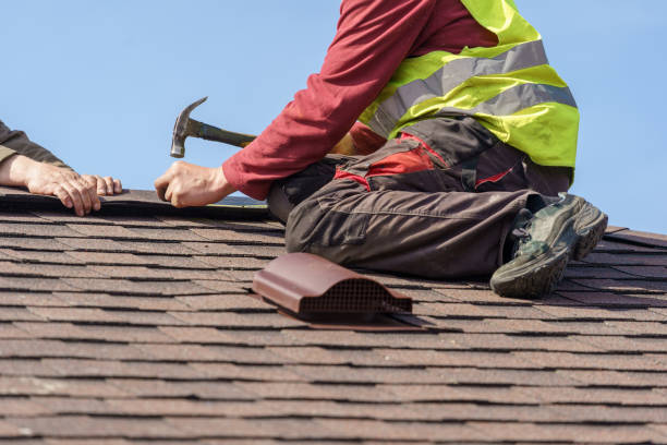 Roof Gutter Cleaning in Homestead, PA