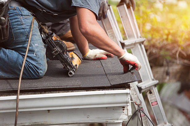 Best Storm Damage Roof Repair  in Homestead, PA